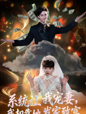系统让我宠妻我却靠她发家致富（92集）