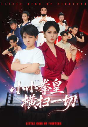 小小拳皇横扫一切（60集）