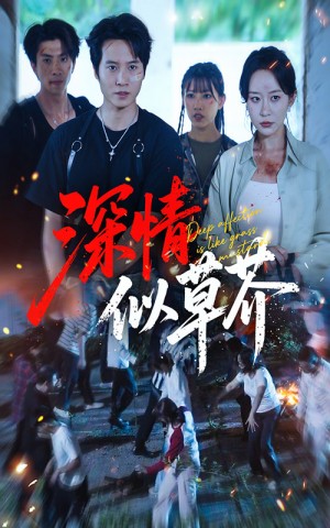 深情似草芥（51集）