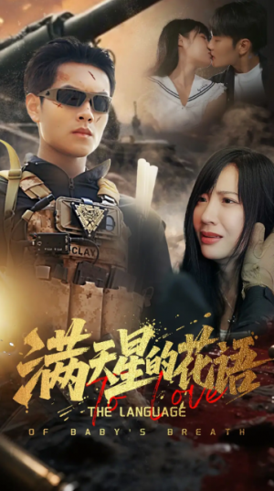 满天星的花语（53集）