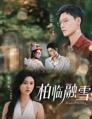 柏临融雪（72集）