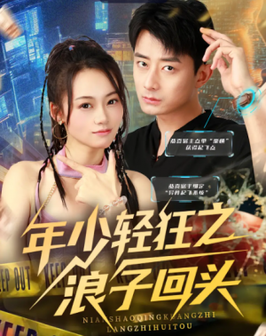 年少轻狂之浪子回头（78集）