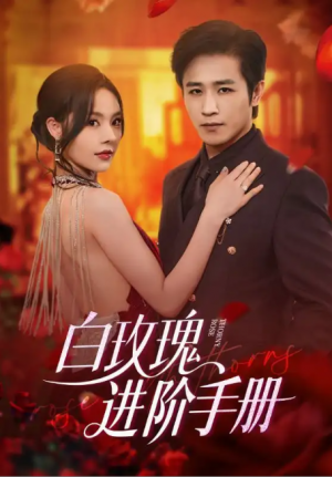 白玫瑰进阶手册（64集）