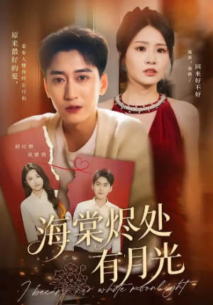 海棠烬处有月光（70集）