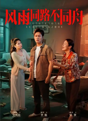 风雨同居不同舟（32集）