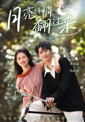 月亮悄悄翻过来（99集）