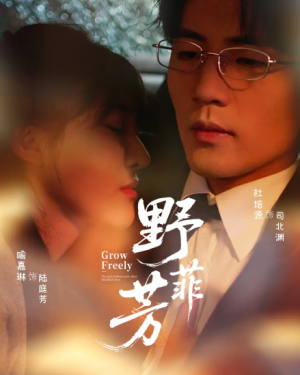 野芳菲（60集）