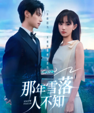 那年雪落人不知（40集）