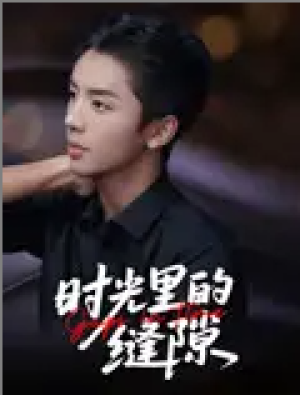 时光里的缝隙（16集）