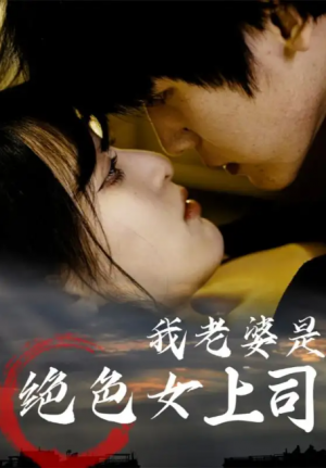 我老婆是绝色女上司（80集）
