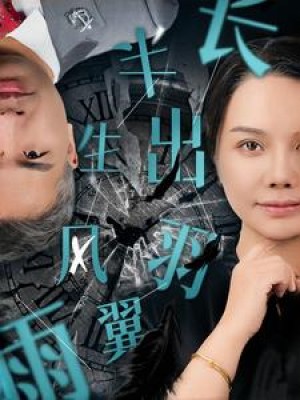 半生风雨长出羽翼（37集）