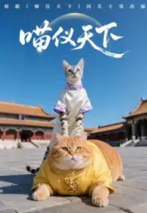 喵仪天下（20集）第一季