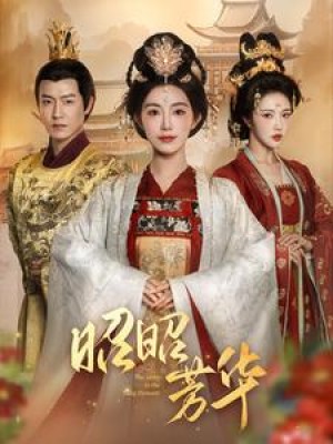 昭昭芳华（81集）