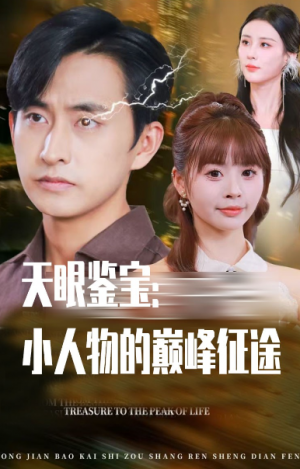 天眼鉴宝小人物的巅峰征途（80集）