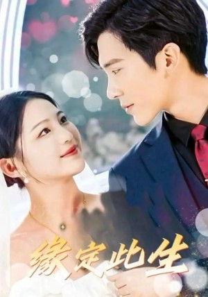 缘定此生（87集）