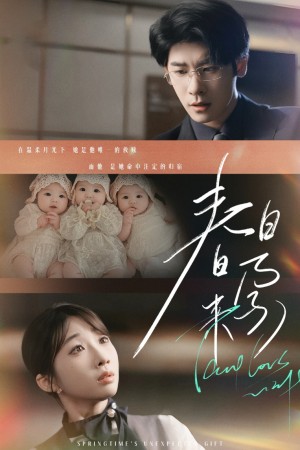 春日来孕＆你比星河璀璨＆坠入温柔月光（60集）