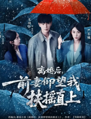 离婚后前妻仰望我扶摇直上（84集）