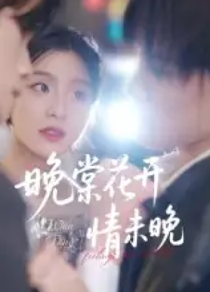 晚棠花开情未晚（30集）