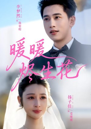  暖暖烬生花（65集）