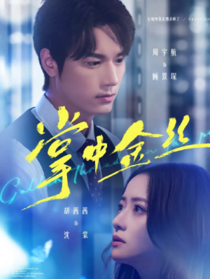 掌中金丝＆长姐她竟是隐藏大佬（60集）