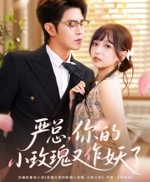 严总你的小玫瑰又作妖了（77集）