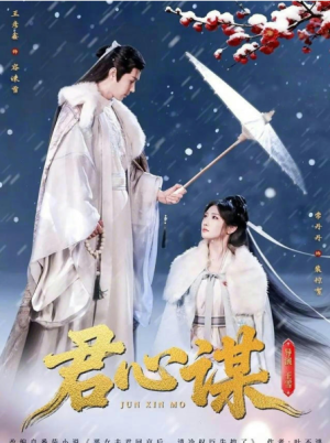 君心谋（80集）