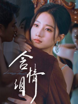 含情泪（45集）