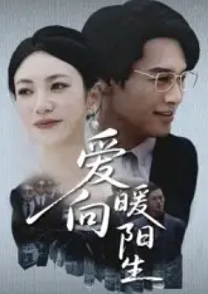 爱向暖阳生（50集）