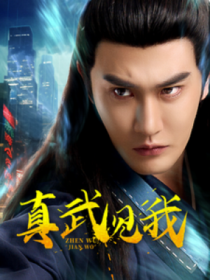 真武见我（60集）