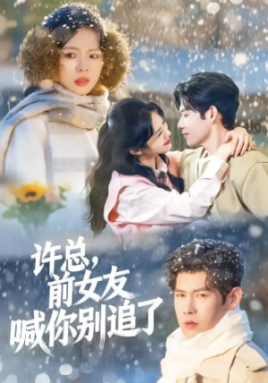许总前女友喊你别追了（80集）