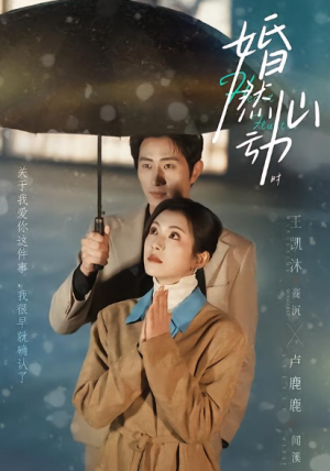 婚然心动时（82集）