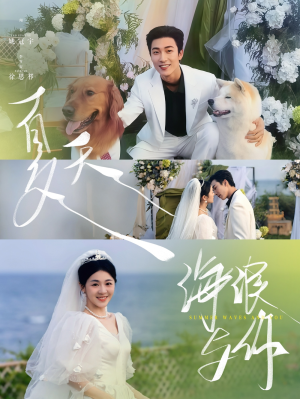 夏天海浪与你（76集）