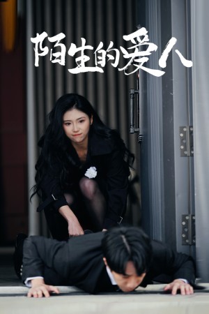 陌生的爱人（60集）