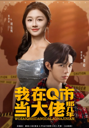 我在Q市当大佬那几年（80集）