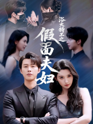 浴火特工之假面夫妇（68集）