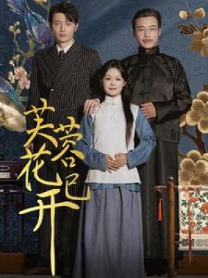 芙蓉花已开（65集）