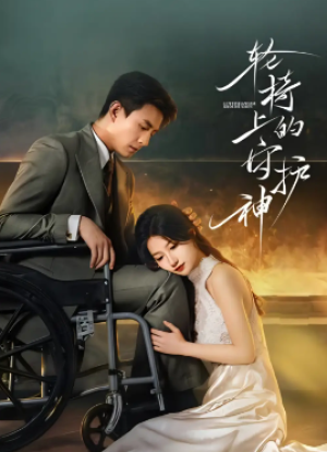 轮椅上的守护神（25集全）