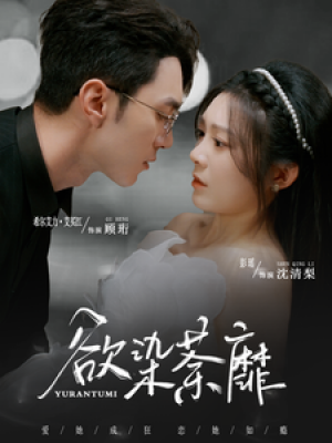 欲染荼靡（80集）