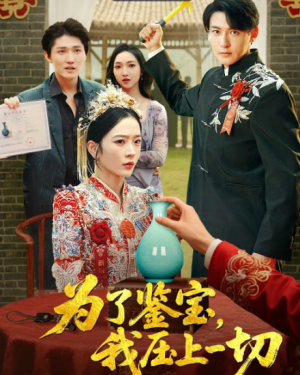 为了鉴宝，我压上一切&为了鉴宝我压上一切 (63集) 