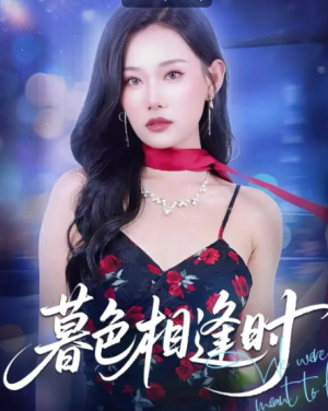 暮色相逢时（70集）