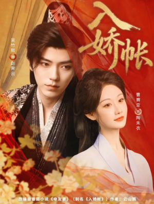 入娇账（80集）