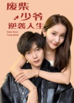 废柴少爷的逆袭人生（75集）