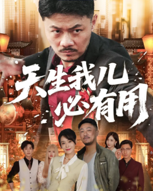 天生我儿必有用（60集）