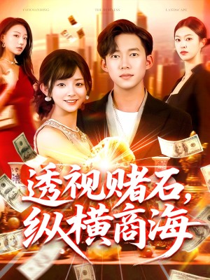 透视赌石纵横商海（80集）