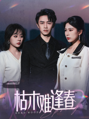 枯木难逢春（30集）