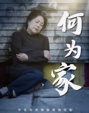 何为家（60集）