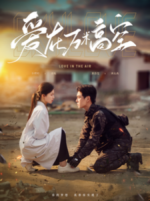 爱在万米高空（100集）