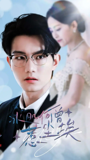 冰肌何曾惹尘埃（60集）