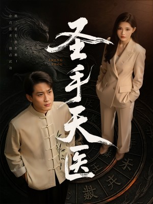 圣手天医（80集）