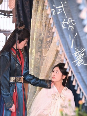 试婚丫鬟（76集）